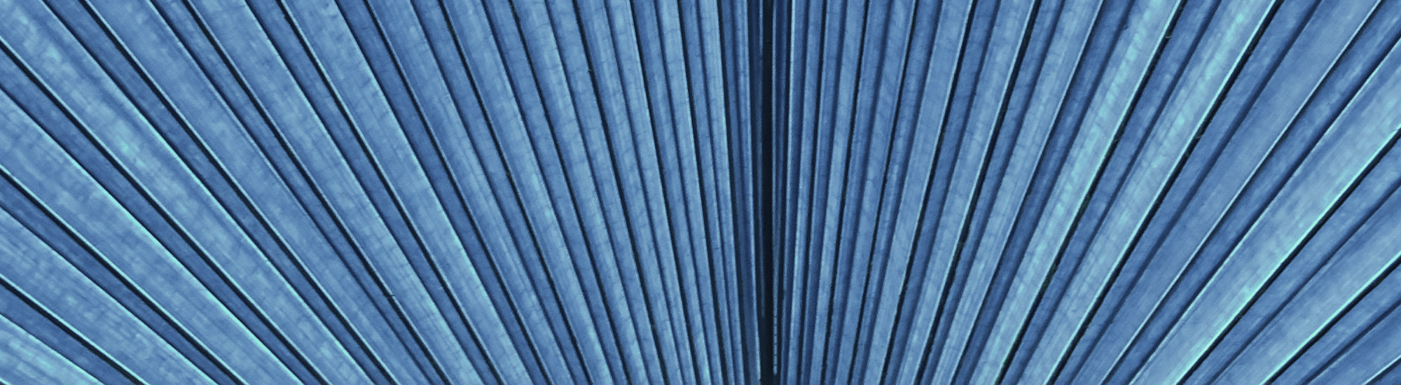 Perpetual Dynamic Fixed Income Fund