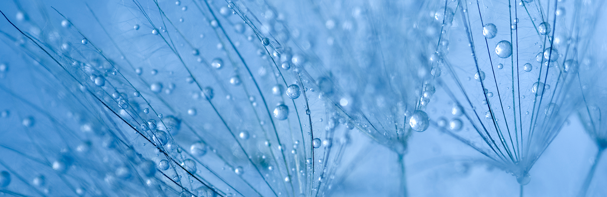 Perpetual Smaller Companies Fund No.2