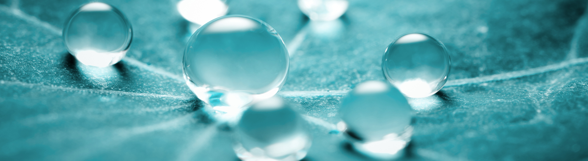 Trillium Global Sustainable Opportunities Fund