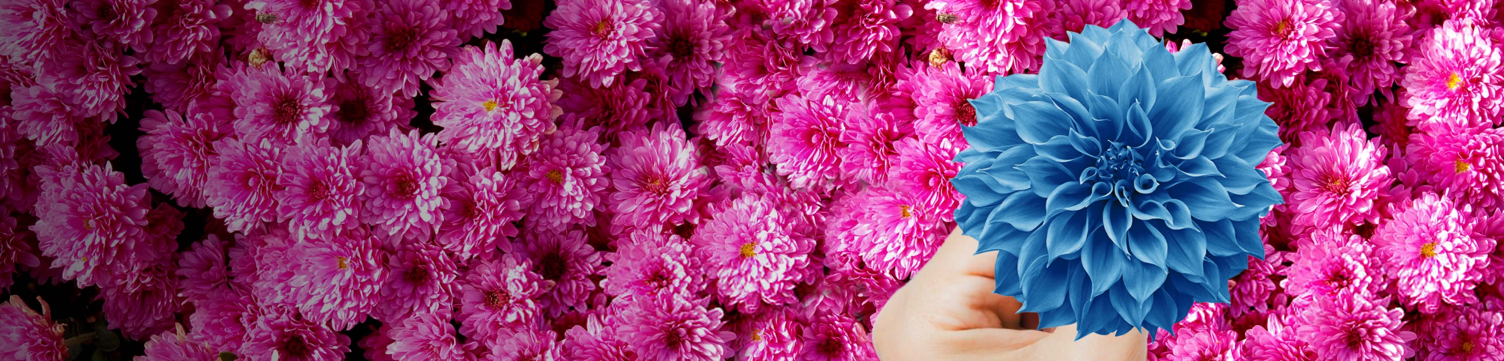 PER0301 Perpetual PIC Campaign 2025 2500x600 Landing Page Header_v3@2x.jpg