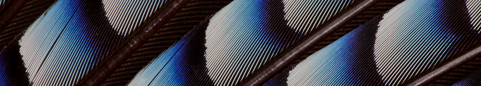 Perpetual Diversified Real Return Fund